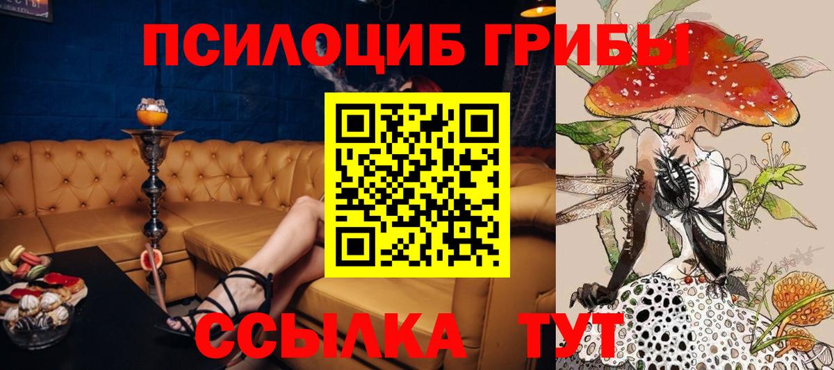 Минеральные Воды  Псилоцибиновые грибы мухоморы  Вход с VPN 