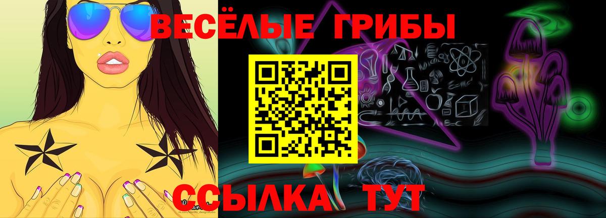 Галлюциногенные грибы мухоморы Минеральные Воды