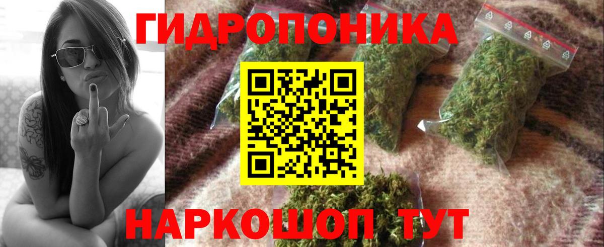 Минеральные Воды  Бошки марихуана семена  Бошки Шишки White Widow  Вход с VPN  Бошки марихуана конопля 